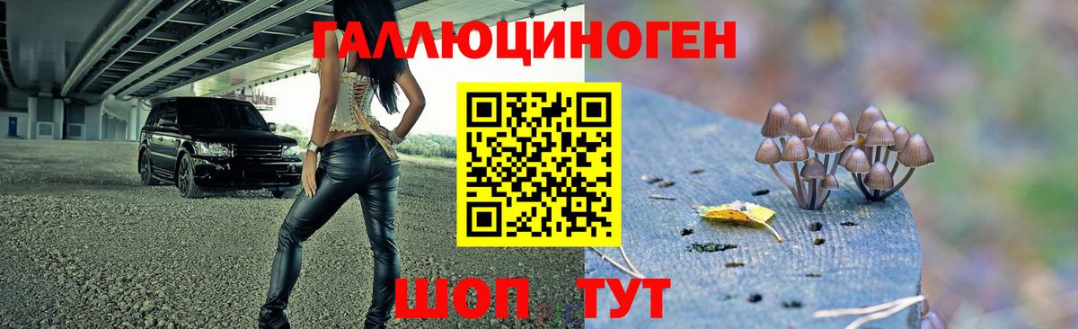 Галлюциногенные грибы мицелий Россия
