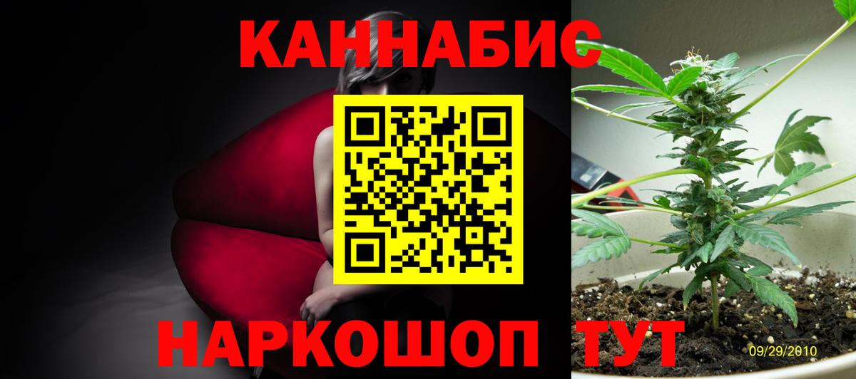 Марихуана конопля Россия